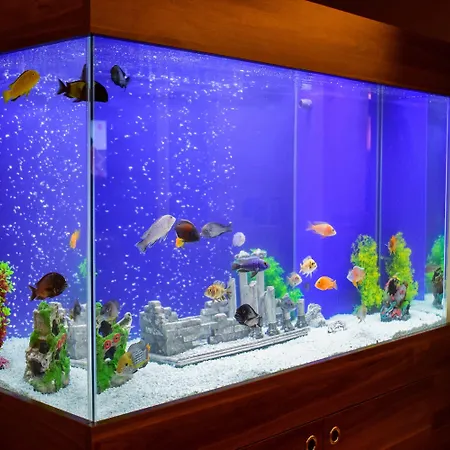 伊斯坦布尔美克酒店 伊斯坦布尔